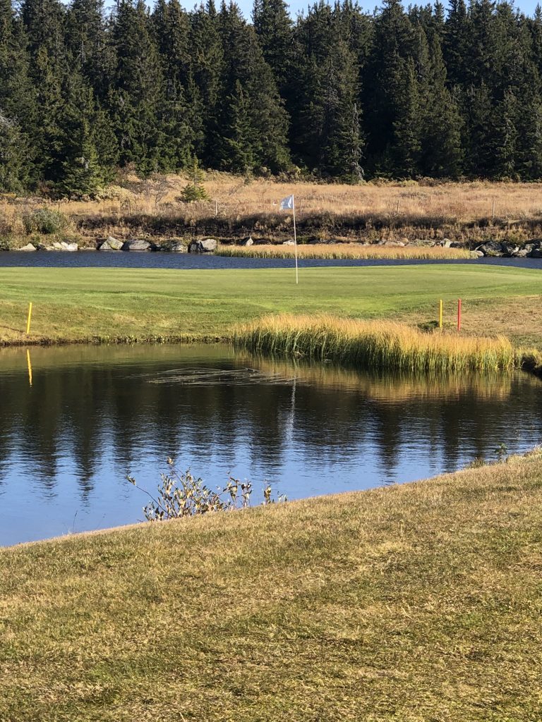 A golf course surrounded by water and forest in summer.