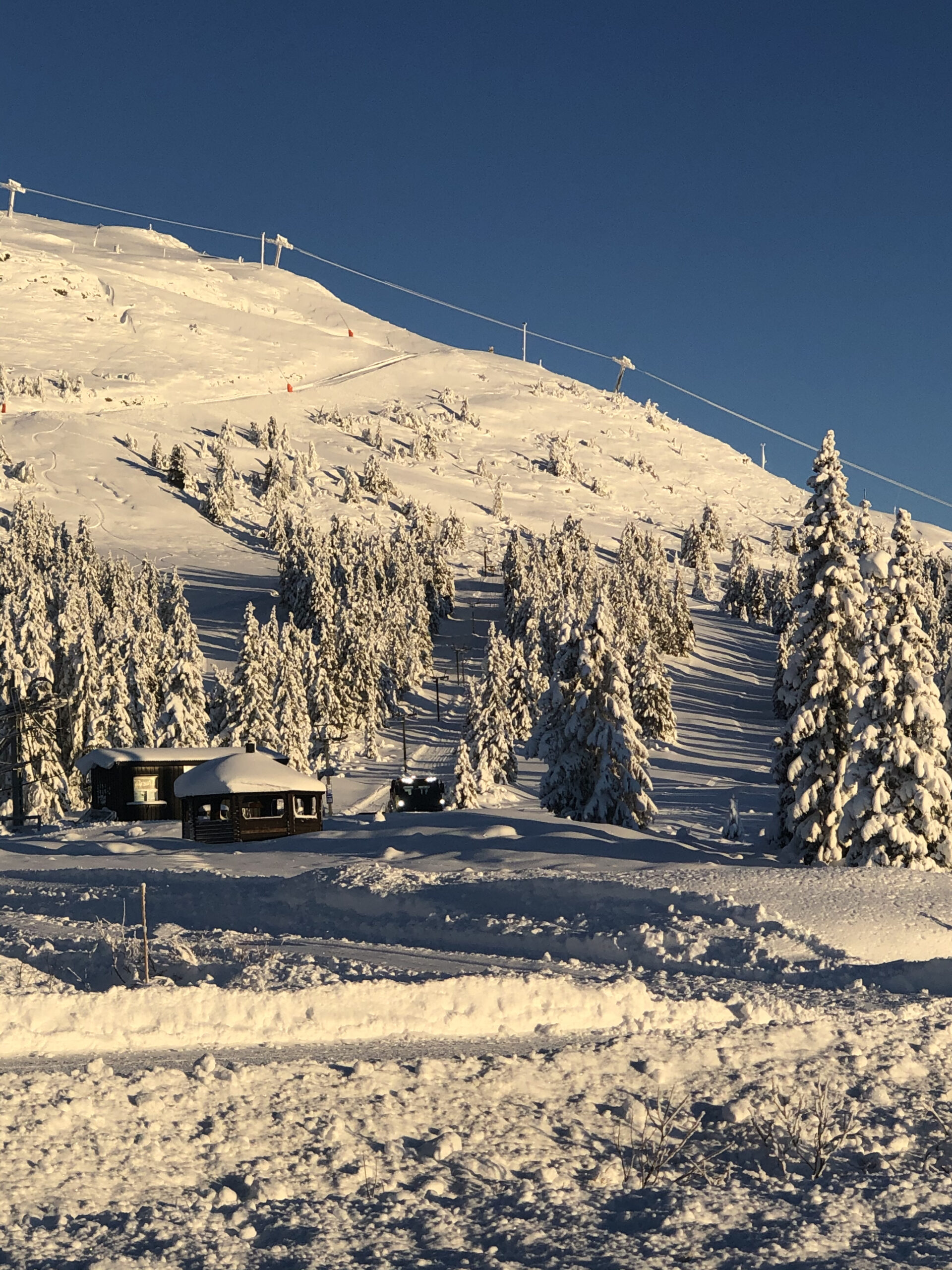 Snødekte grantrær og fjellsiden på Skeikampen i klart vinterlys.